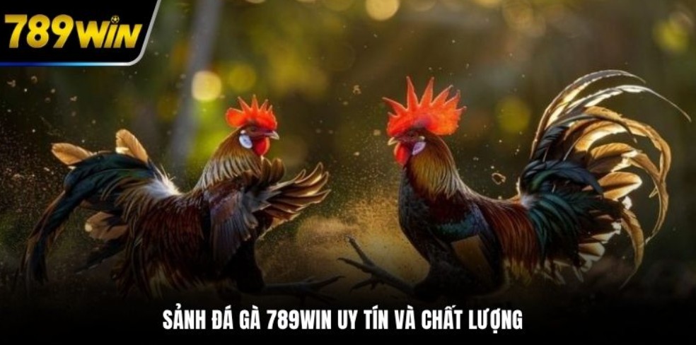Định nghĩa cơ bản về thế đá gà là gì