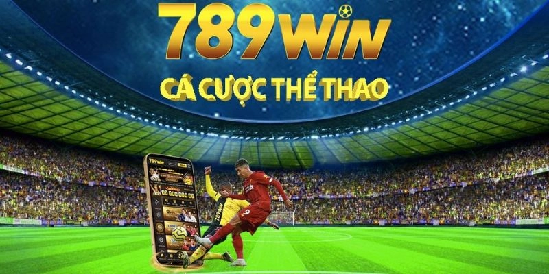 Đối tác thể thao hàng đầu