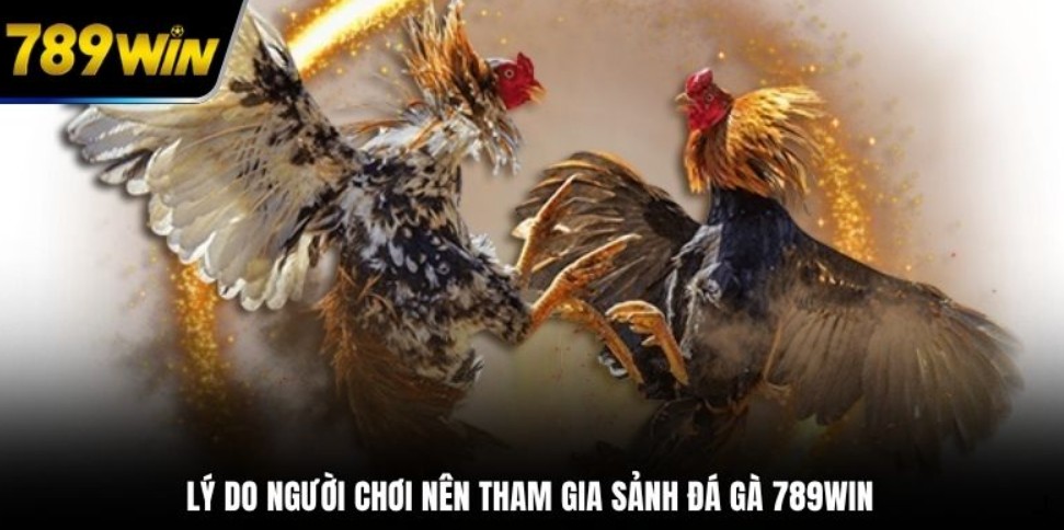 Kỹ thuật đá vỉa giúp nâng cao tỷ lệ thắng