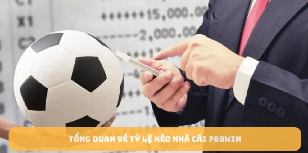 Những yếu tố cần đặc biệt chú ý