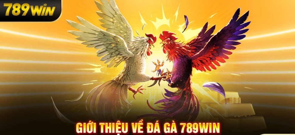 Tìm hiểu chế độ dinh dưỡng hợp lý cho gà