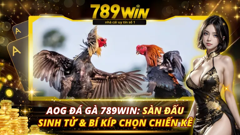 Tìm hiểu về cách tập luyện cho gà chọi