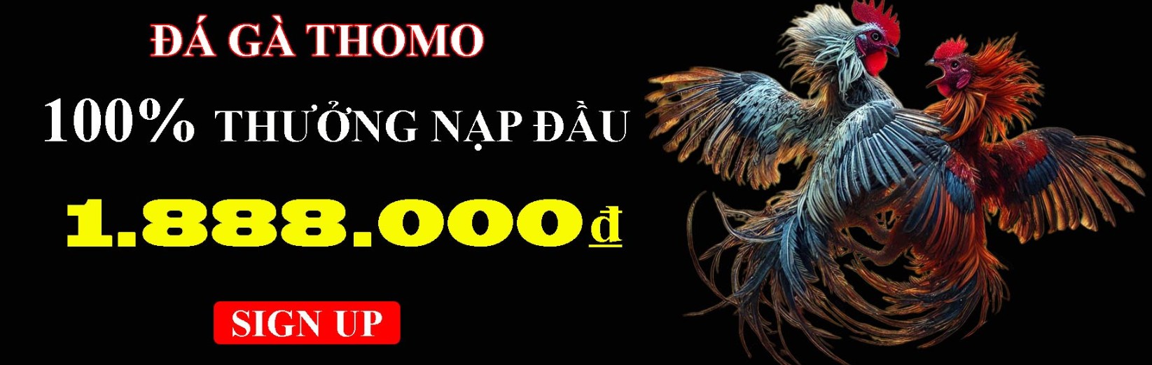 Tìm hiểu về nạp & cược đá gà Thomo