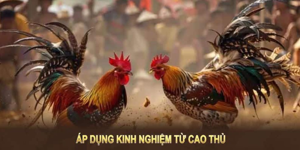 Vô vàn hình thức cá cược hấp dẫn